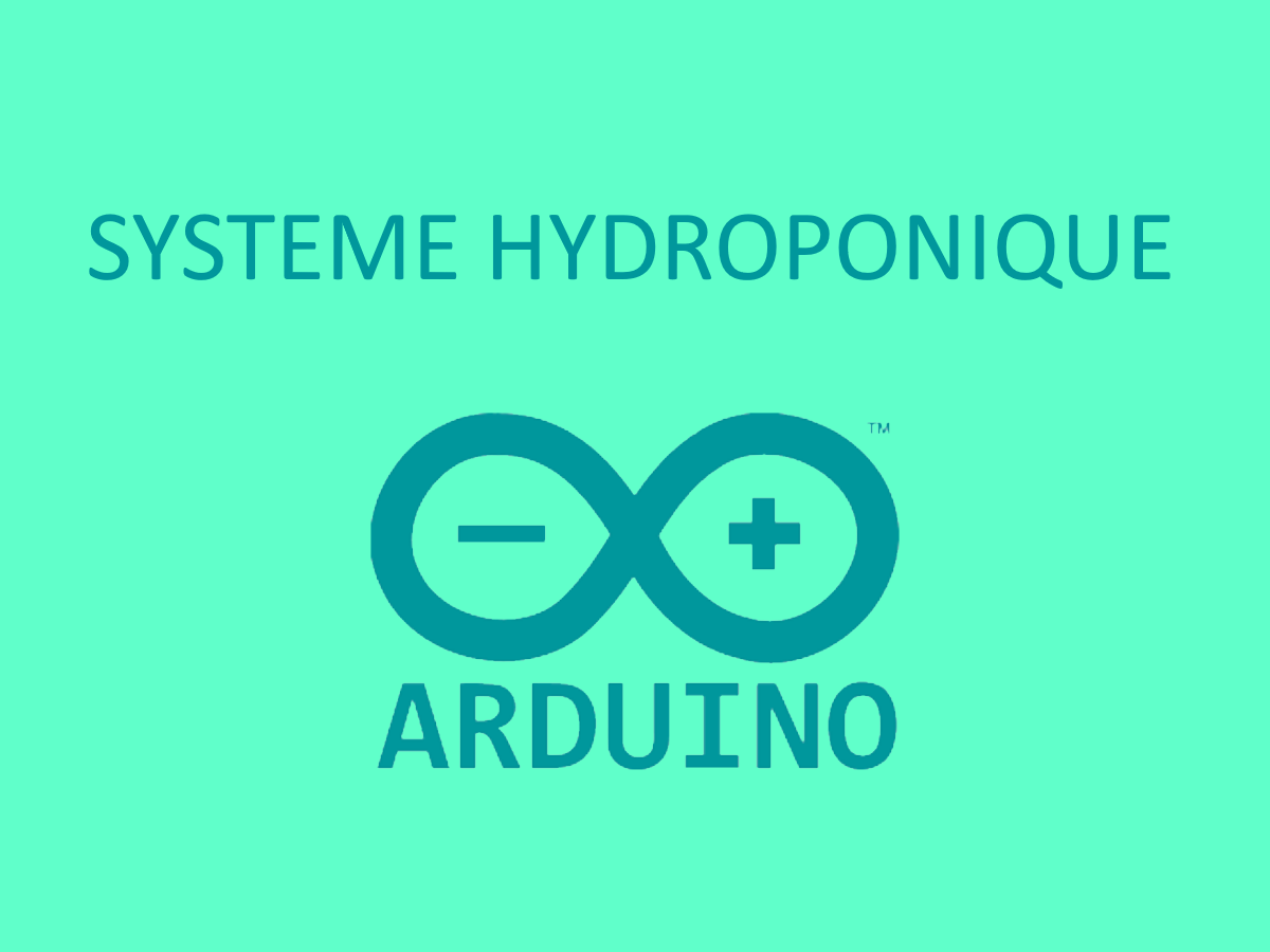 Hydroponique