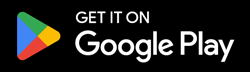 icone Play Store